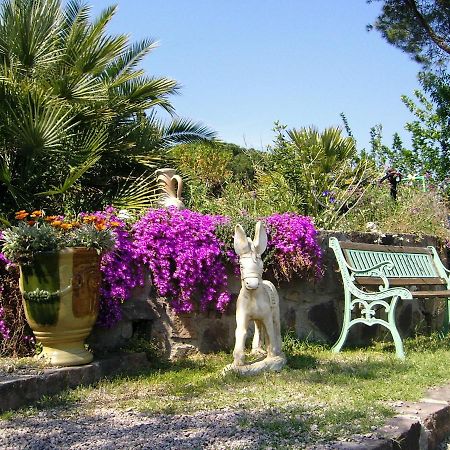 Mas Aurélia B&B Fréjus Esterno foto